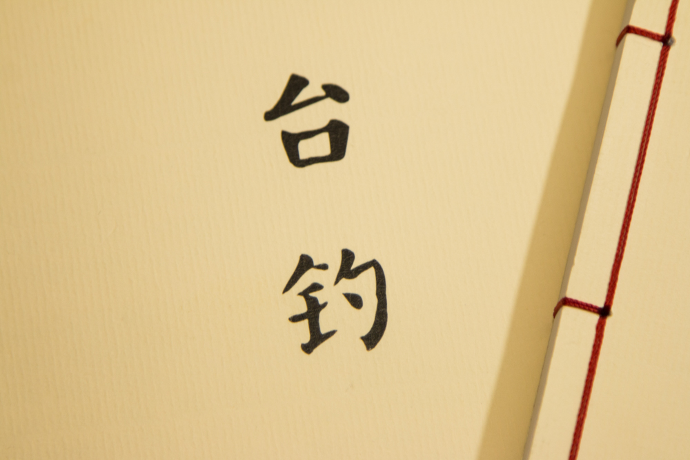 作者：杨